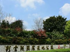 -重庆彩云湖湿地公园