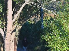 -东钱湖旅游度假区