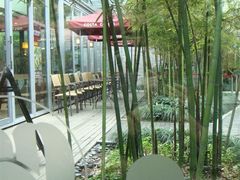 窗外-COSTA COFFEE(西湖天地店)