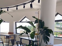 大堂-ChanDu躔度咖啡(灯塔店)