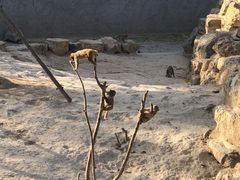 -太原动物园