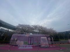 -上海黄浦旅游集散站售票处