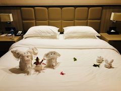 -白金汉爵大酒店(相城店)