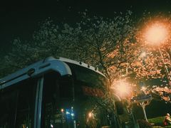 -上海南浦大桥长途旅游客运站