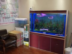 -宜华康盲人按摩(中关村店)