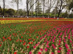 -西安市长乐公园