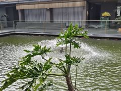 -太子园林酒家