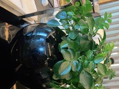 -富力威斯汀酒店-中国元素中餐厅(武昌临江店)