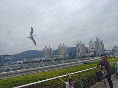 -星海广场