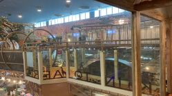 -卡通尼·Safari非洲探索乐园·生日会(金桥国际商业广场店)