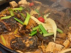 -老板恋上鱼(印象城店)