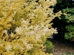 -飞来湖湿地公园