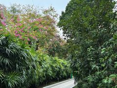 -广州中山纪念堂