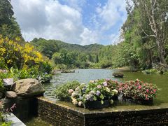-深圳仙湖植物园