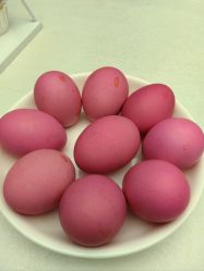 -梓爱月子中心(花都店)