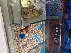 -加餐海鲜自助(宝龙一城店)