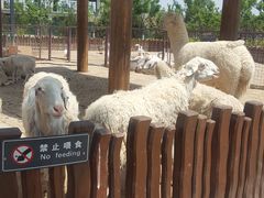 -太原动物园