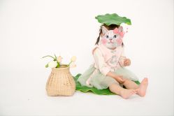 -小熊维尼高端儿童摄影(福田新洲店)