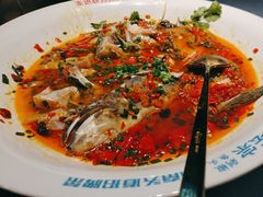 -坛宗剁椒鱼头(河西王府井店)