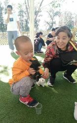 -萌宠亲子动物乐园(槐房万达店)