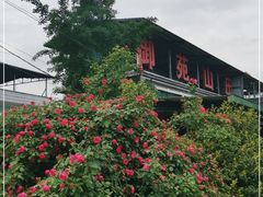 -枇杷沟农家乐·柴火鸡