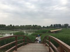 -白洋淀景区