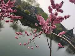 -无锡蠡湖国家湿地公园-蠡园
