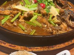 -老板恋上鱼(恒隆广场店)