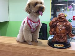 -酷狗靓猫宠物·洗护·美容·寄养(航北路店)