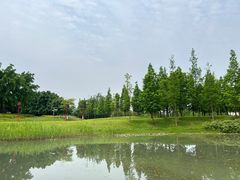 -眉山湿地公园(东坡区)
