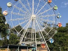 -森波拉奇妙世界