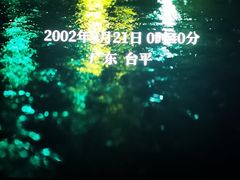 -深影国际影城(学院南路店CGS中国巨幕店)