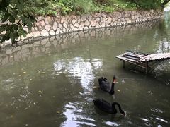 -福建鲤鱼洲酒店