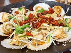 -鲁前海沿儿
