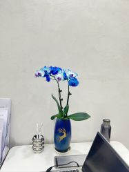 -幼泡泡连锁美容医疗