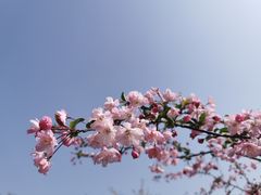 -石湖景区
