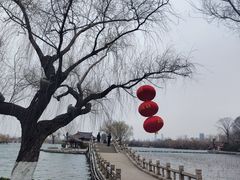 -济南大明湖景区