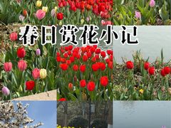 -圩墩遗址公园