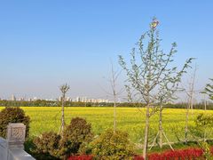 -嘉北郊野公园