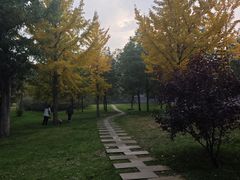 -晋祠公园