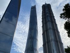-陆家嘴中心绿地