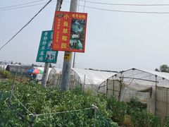 -小鱼草莓采摘园农家乐·小鱼餐厅