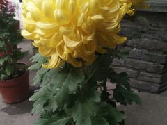 -我嘉书房(南翔名士居店)