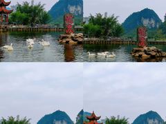 -靖西鹅泉风景区