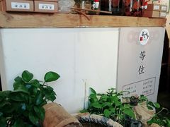 -茶花妹子云南餐厅(传媒大学店)