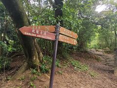 -狮子山郊野公园