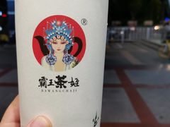 伯芽绝弦奶茶-霸王茶姬(五一路店)