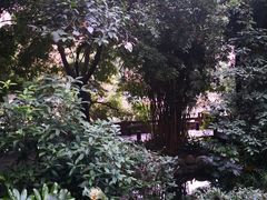-成都市活水公园