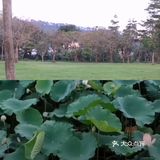 攻略|一个赏青踏春的好地方