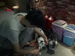 -AOE 火焰 剧本密室狼人杀